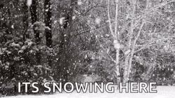 Snowing Excessively On Trees   GIF