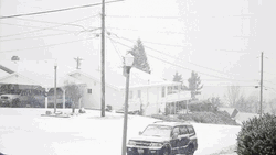 Snowing In Tacoma  GIF