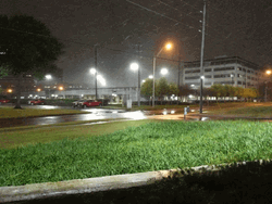 Snowing Over Houston Texas GIF