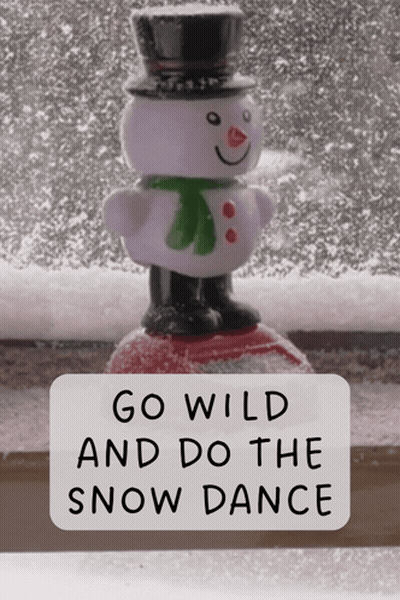 Snowman With Go Wild Snow Dance GIF