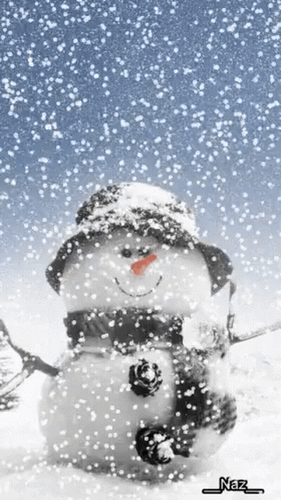 Snowman With Hat And Scarf Saying Naz GIF