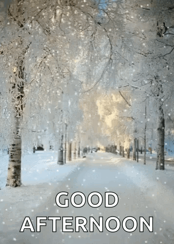 Snowy Forest Good Afternoon GIF