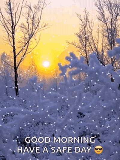 Snowy Forest Good Morning Have A Safe Day GIF