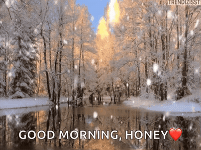 Snowy Forest Good Morning Honey GIF