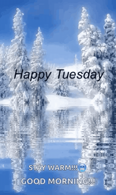 Snowy Forest Happy Tuesday Stay Warm Good Morning GIF