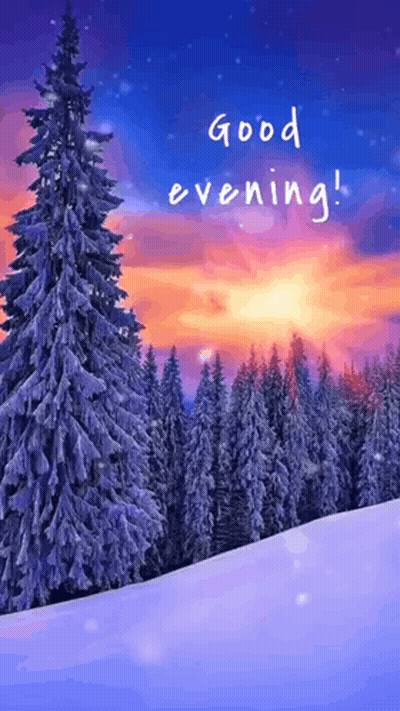 Snowy Forest Saying Good Evening