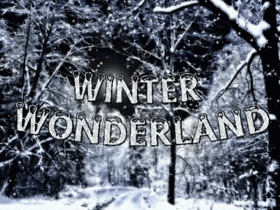 Snowy Forest Winter Wonderland GIF