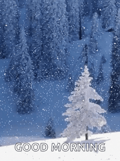 Snowy Forest With Good Morning GIF