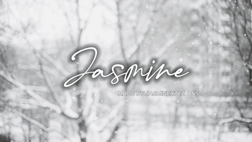 Snowy Forest With Jasmine GIF