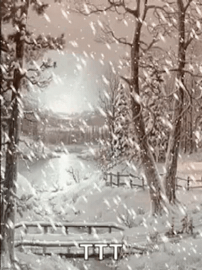 Snowy Forest With Snow-Covered Trees And River GIF