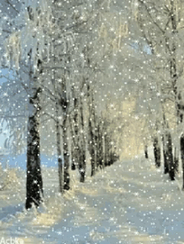Snowy Forest With Snow-Covered Trees GIF