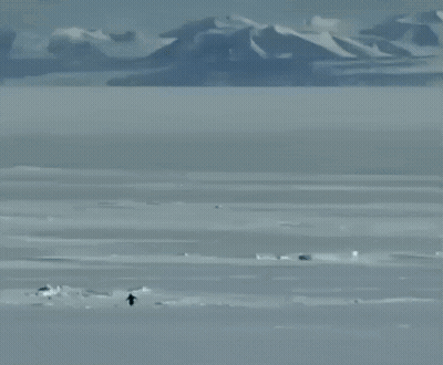 Snowy Landscape With Mountains GIF