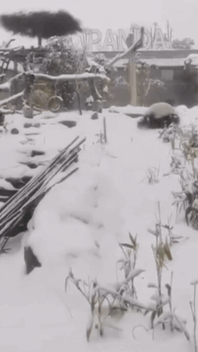 Snowy Landscape With Pantal Sign GIF