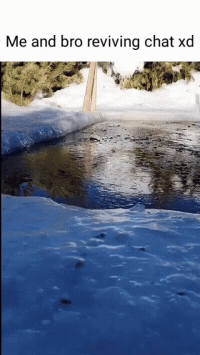 Snowy River With Me And Bro Reviving Chat XD GIF