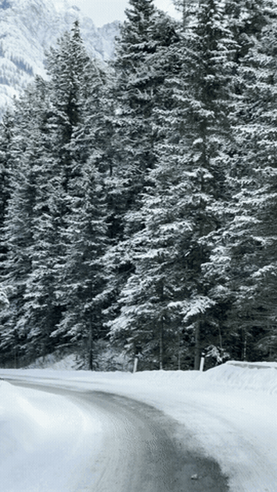 Snowy Road Through Forest And Mountains GIF