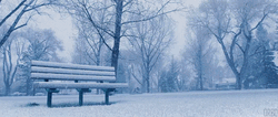 Snowy Saturday Snow Covered Chair GIF