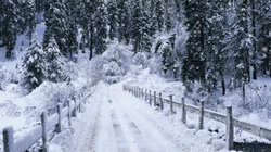 Snowy Saturday Train Trail GIF
