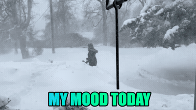 Snowy Scene My Mood Today GIF