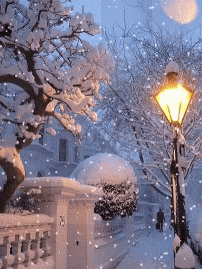 Snowy Street Lamp Post 75 Sign GIF