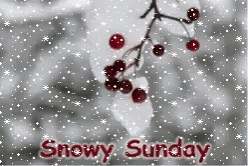 Snowy Sunday Greeting Card With Berries GIF