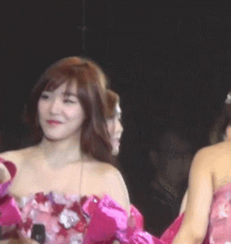 Snsd Stage GIF