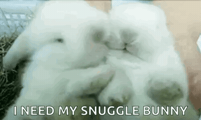 Snuggle Bear Teddy On Bed GIF