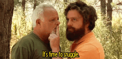 Snuggle Time Zach Galifianakis GIF