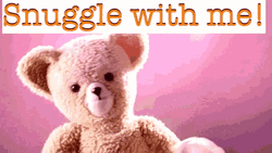 Snuggle With Me Teddy Bear GIF