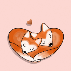 Snuggling Fox Couple