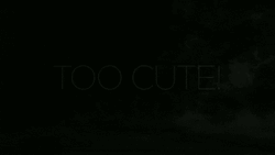 So Cute Purple Neon Text Reflection GIF