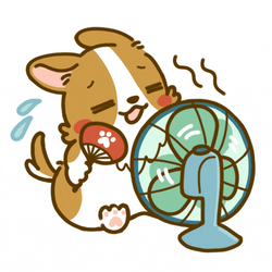So Hot Right Now Lazy Corgi With Fans GIF
