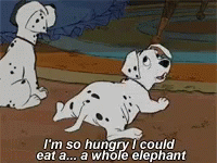 So Hungry Dog Could Eat Whole Elephant GIF