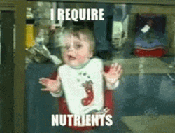So Hungry I Require Nutrients GIF