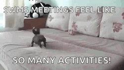 So Much Room For Activities GIF