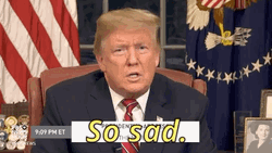 So Sad Donald Trump GIF