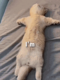 So Tired Cute GIF