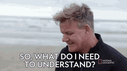 So What Do I Need To Understand Gordon Ramsay GIF