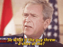 So What If The Guy Threw Bush Shoe GIF