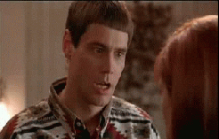 So You're Saying There's A Chance Dumb Dumber GIF