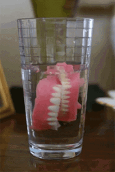 Soaked Dentures No Teeth GIF