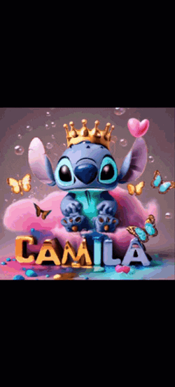 Socami1 Socami2 GIF