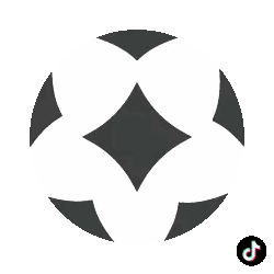 Soccer Ball With TikTok Icon Sticker