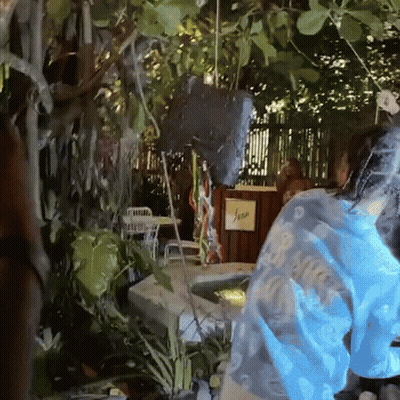 Soccer Fans Celebrating Goal Coca Cola GIF