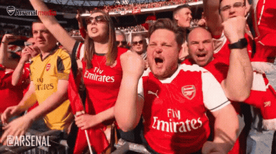 Soccer Fans Cheering In Fly Emirates Jerseys GIF