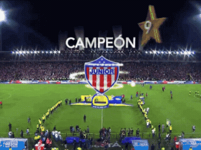 Soccer Field With Campeon Banner GIF