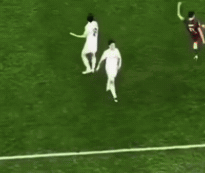 Soccer Field With Crowd Watching GIF