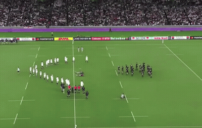 Soccer Field With Mastercard DHL Heineken Ads GIF
