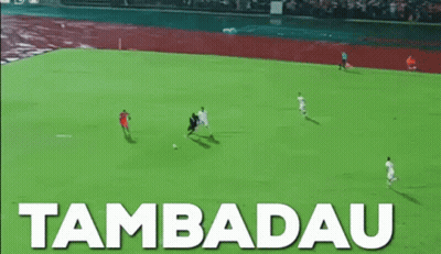 Soccer Field With Tambadau GIF
