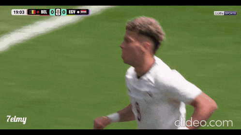 Soccer Game Between Belgium And Egypt GIF