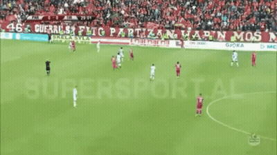 Soccer Game In Front Of Crowd GIF